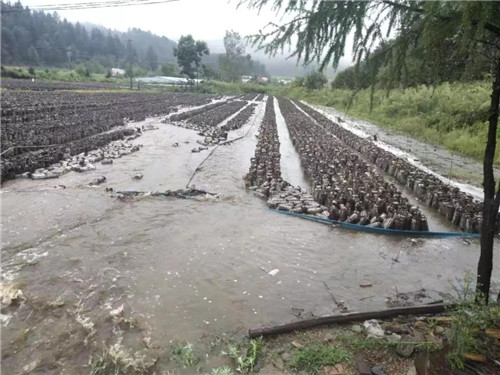 永盈会·[中国]官方网站