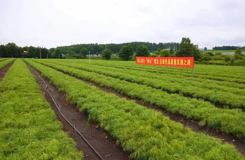 永盈会·[中国]官方网站