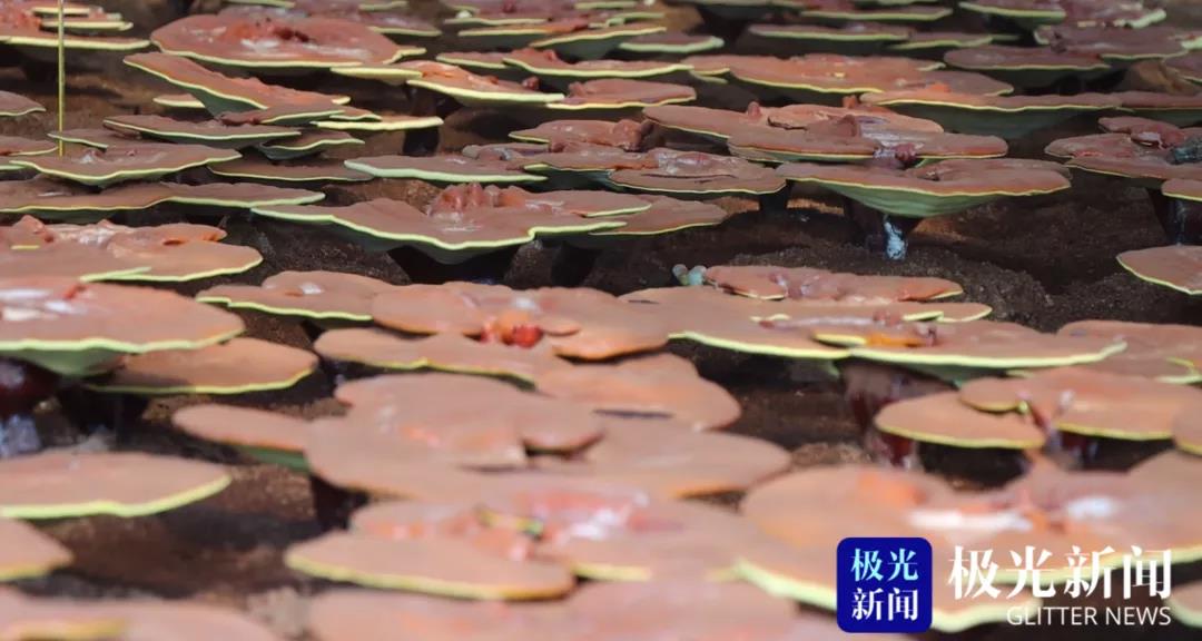 永盈会·[中国]官方网站