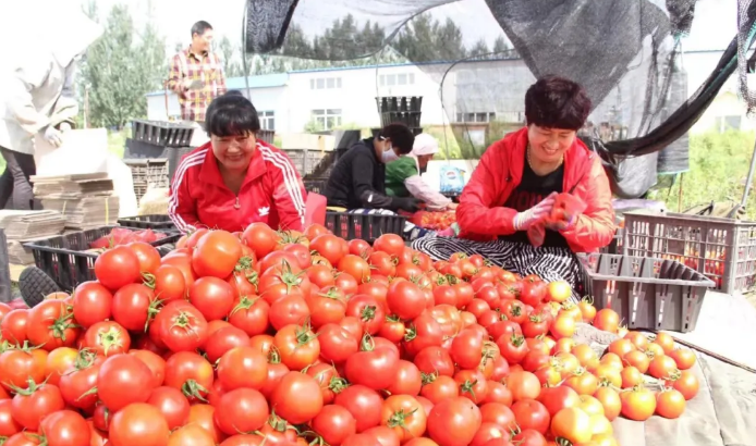 永盈会·[中国]官方网站