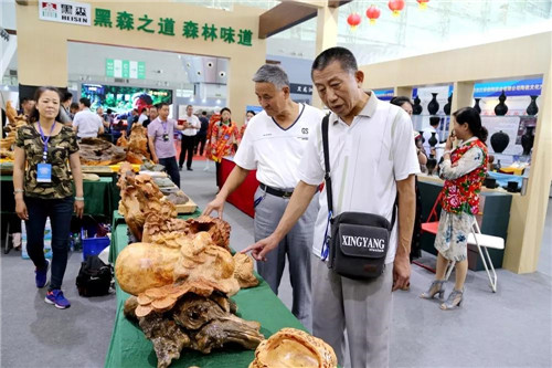 永盈会·[中国]官方网站