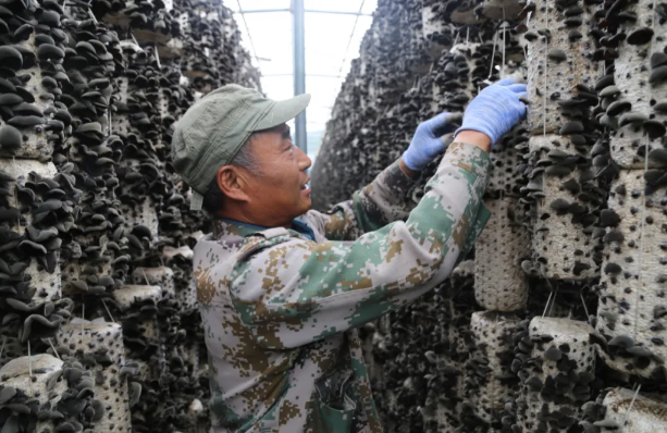 永盈会·[中国]官方网站