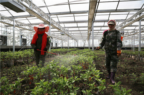 永盈会·[中国]官方网站