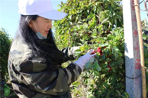 永盈会·[中国]官方网站