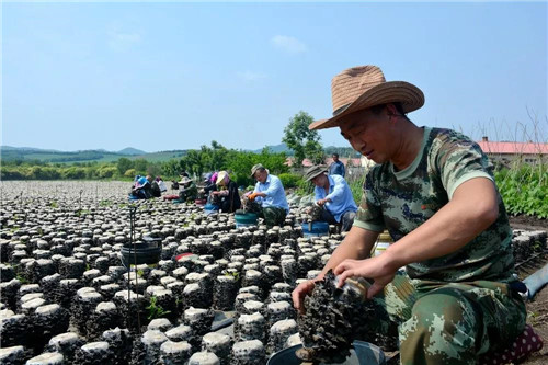 永盈会·[中国]官方网站