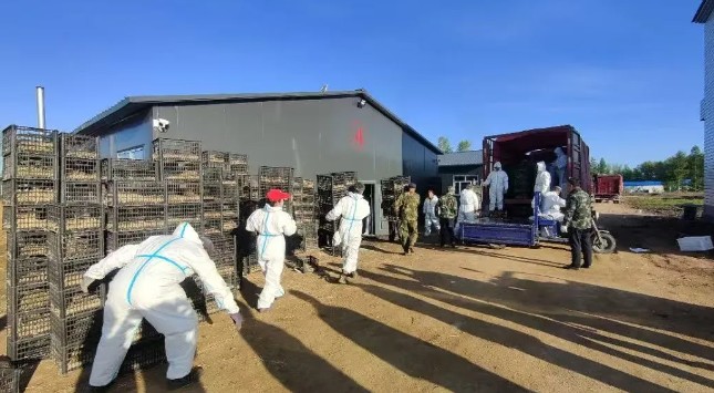 永盈会·[中国]官方网站
