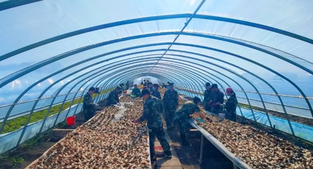 永盈会·[中国]官方网站