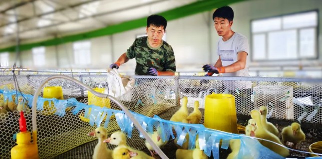 永盈会·[中国]官方网站