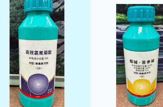 永盈会·[中国]官方网站