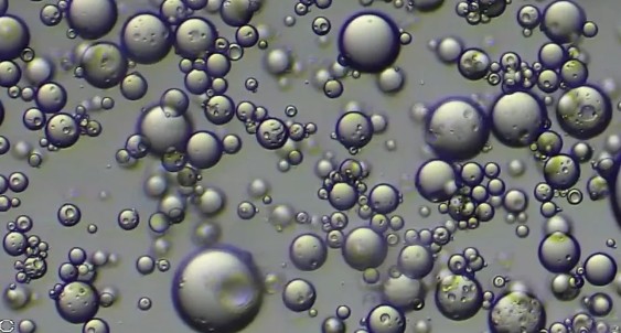 永盈会·[中国]官方网站