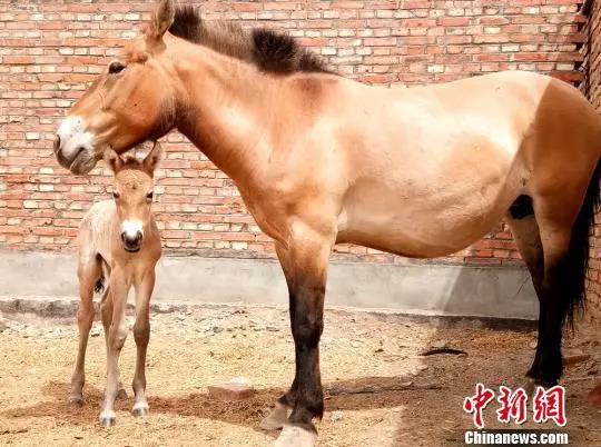 永盈会·[中国]官方网站