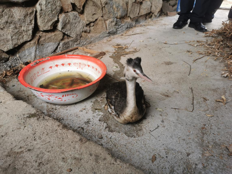 永盈会·[中国]官方网站