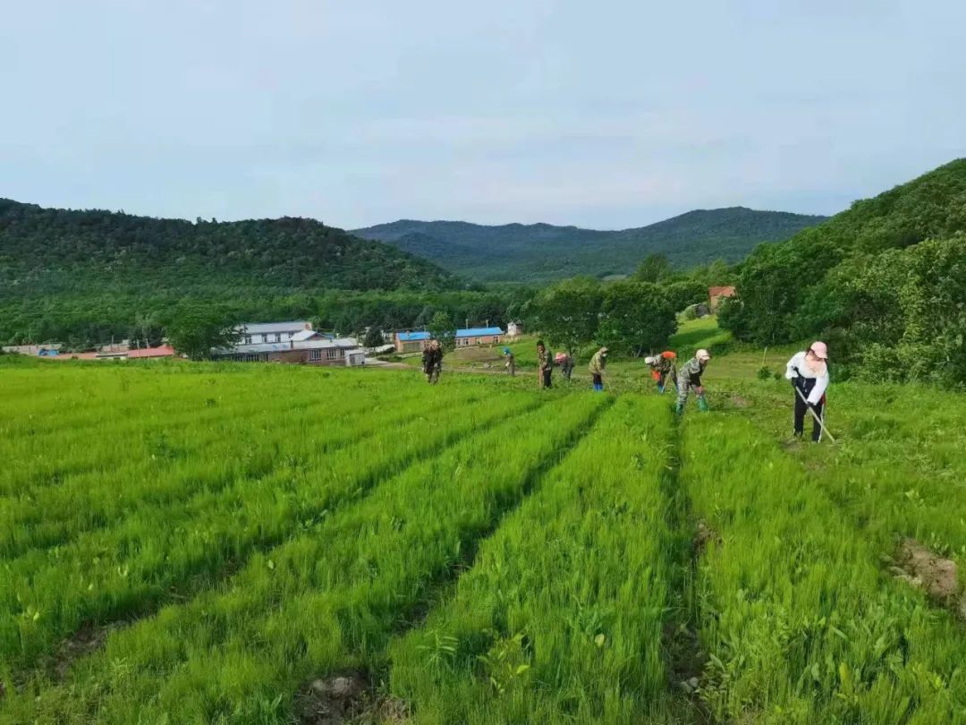 永盈会·[中国]官方网站