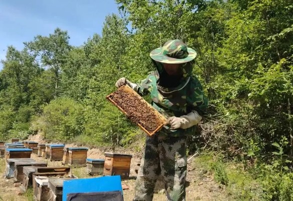 永盈会·[中国]官方网站