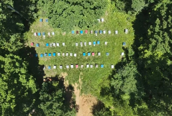 永盈会·[中国]官方网站