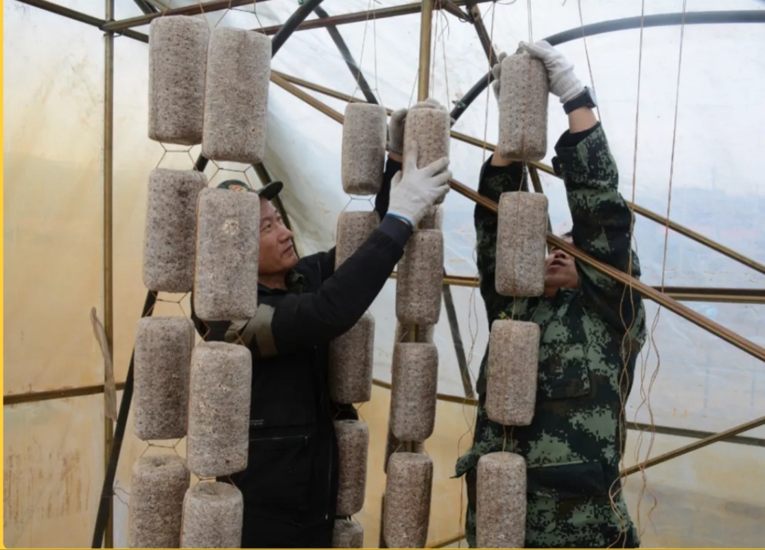 永盈会·[中国]官方网站