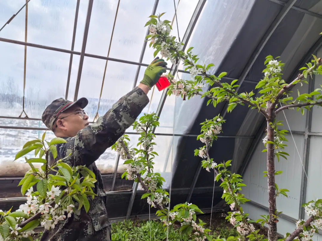 永盈会·[中国]官方网站